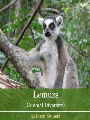 cover image of Lemurs